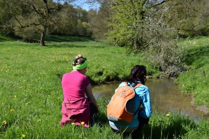 Image qui illustre: La Vallée Du Tortillon