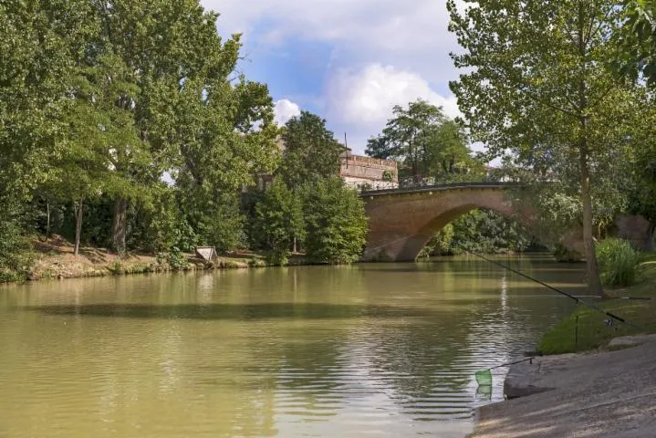 Image qui illustre: Pont De La Save