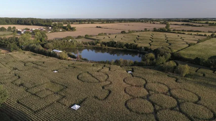 Image qui illustre: Labyrinthe en Vendée Vallée