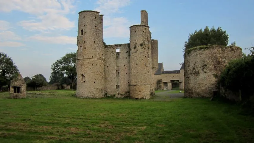 Image qui illustre: Château De Montfort