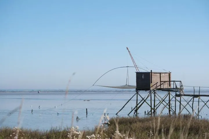 Image qui illustre: Les Pêcheries