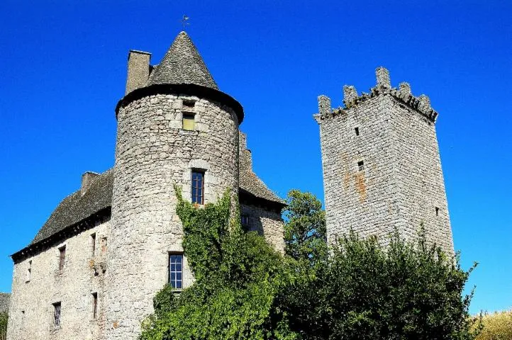Image qui illustre: Tour Du Château De Sénergues