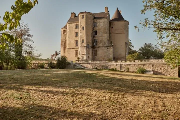 Image qui illustre: Parc du Château de Buzet