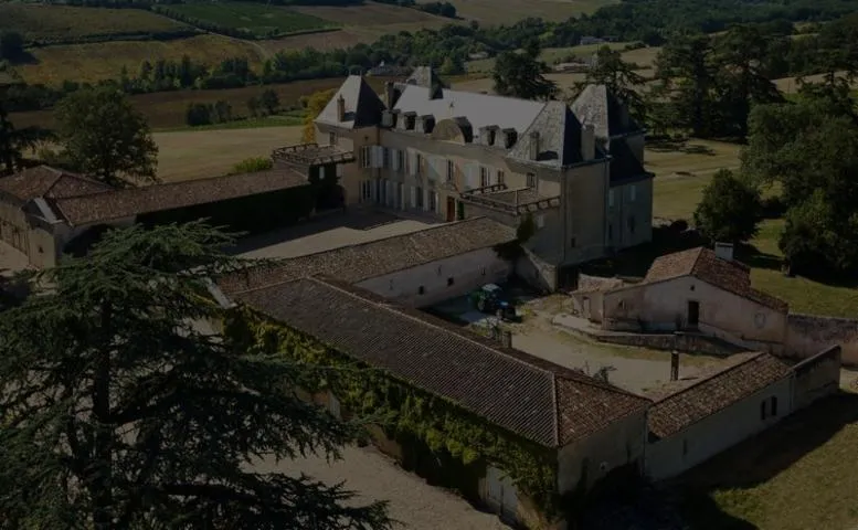 Image qui illustre: Château de Salles