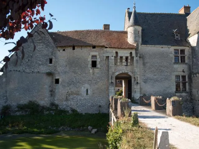Image qui illustre: Château De Chémery