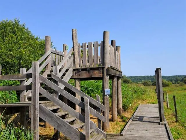 Image qui illustre: Marais De Lay St Remy Et Pagny Sur Meuse