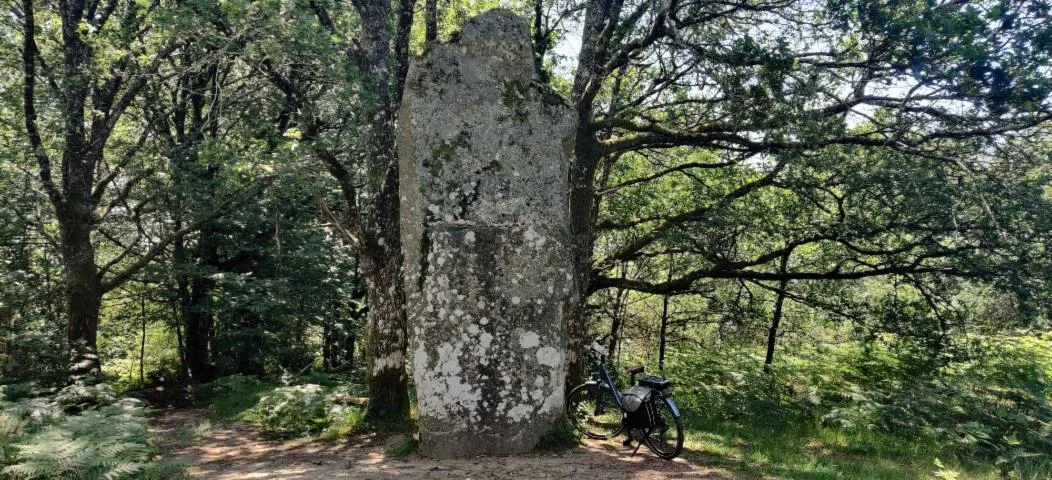 Image qui illustre: Circuit à vélo de Oradour-sur-Glane à Mortemart