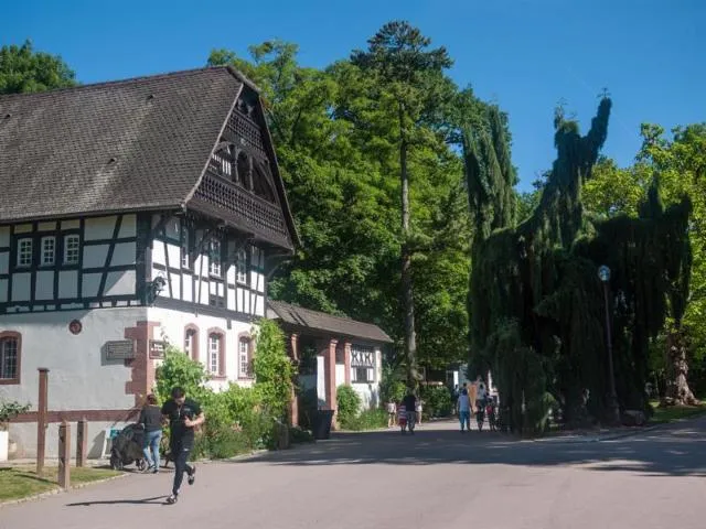 Image qui illustre: Parc Sainte Marie