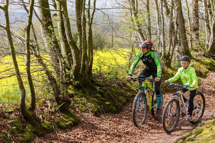 Image qui illustre: Entre Vallons Et Haies Bocagères