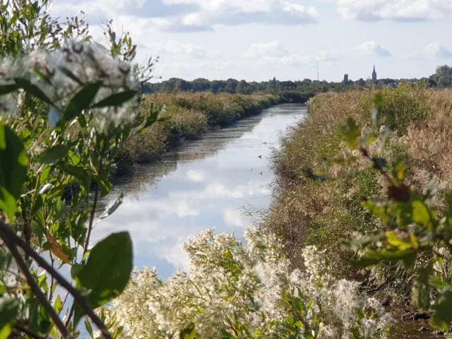 Image qui illustre: Le domaine de Fleury dans le delta de la Leyre