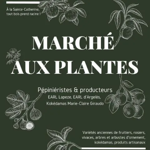 Image qui illustre: Marché aux plantes & produits locaux