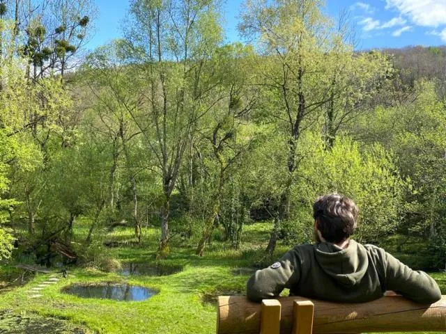 Image qui illustre: Jardin D'eau Des Roises