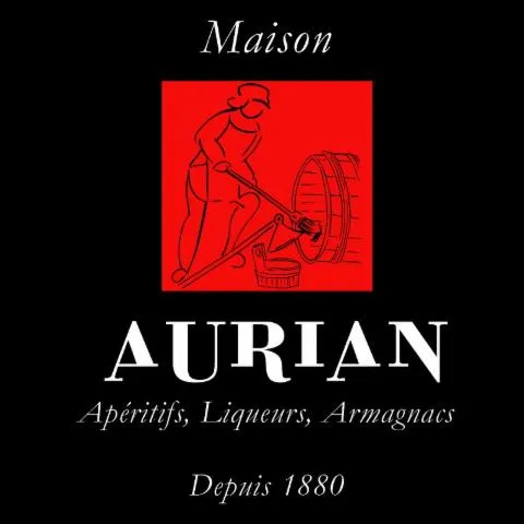 Image qui illustre: Maison Aurian