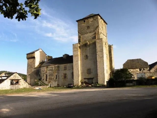 Image qui illustre: Château De Galinières