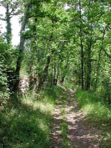 Image qui illustre: Dondas, Balade Dans Les Coteaux Du Pays De Serres