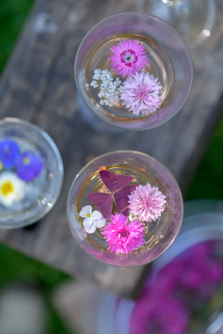 Image du carousel qui illustre: Cueillez vos fleurs comestibles à Ploërmel