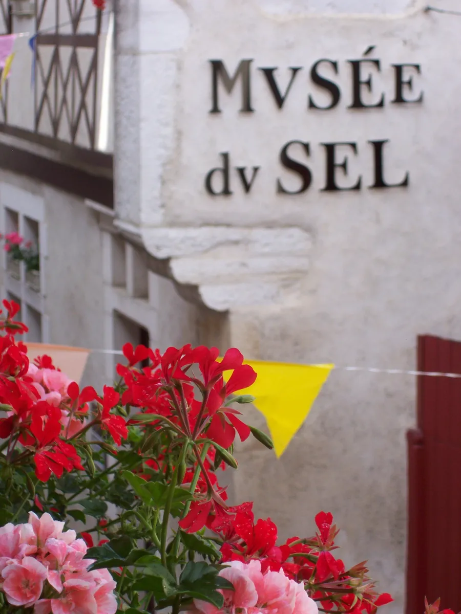 Image du carousel qui illustre: Venez découvrir le musée du sel ! à Salies-de-Béarn