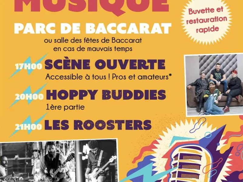Image du carousel qui illustre: Fête De La Musique à Baccarat