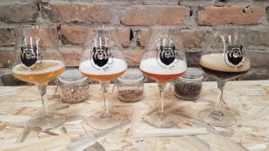 Image du carousel qui illustre: Brassez et personnalisez votre propre bière à Téteghem-Coudekerque-Village