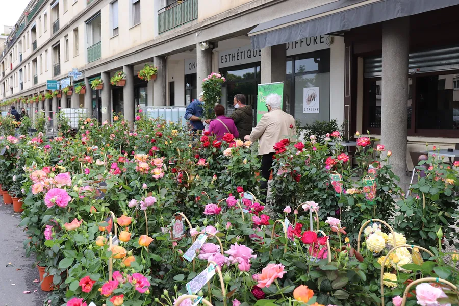 Image du carousel qui illustre: Marché Aux Fleurs à Tarascon