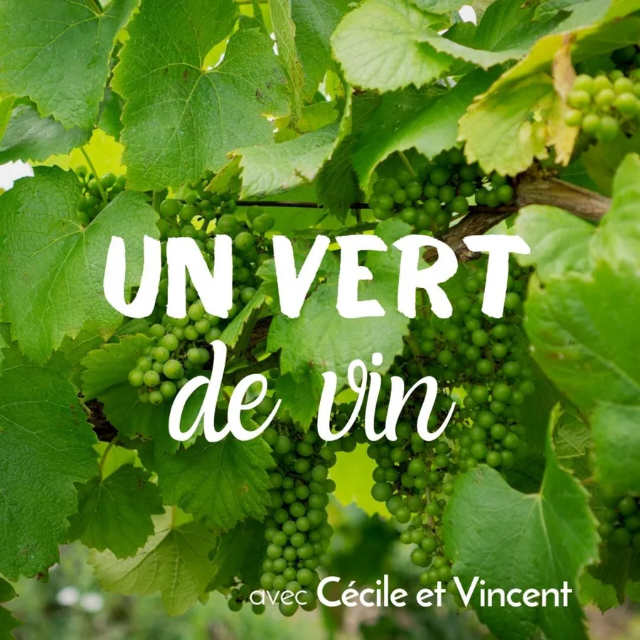 Image du carousel qui illustre: Apprenez à soigner la vigne et dégustez du vin à Vertou