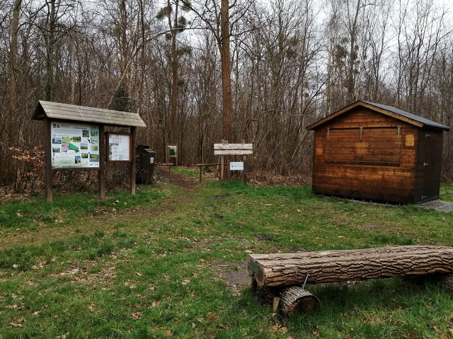 Image du carousel qui illustre: Le Parcours Forestier Des Marais De Sacy à Saint-Martin-Longueau
