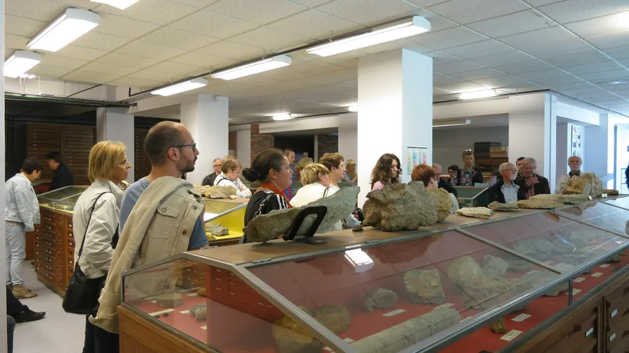 Image du carousel qui illustre: Visite guidée du musée : découverte à travers les fossiles à Caen