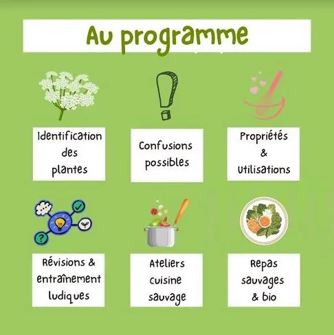 Image du carousel qui illustre: Plantes Sauvages Comestibles Et Cuisine Sauvage : 4 Jours D’immersion Végétale à Thémines