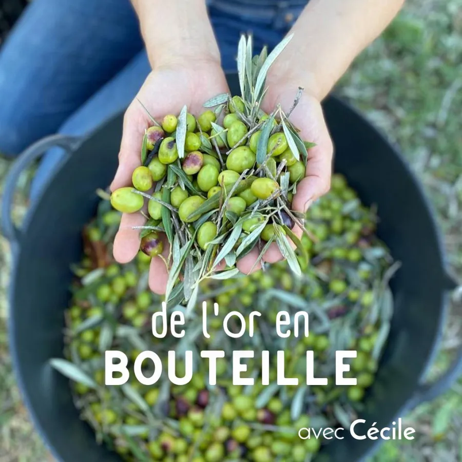 Image du carousel qui illustre: Créez votre huile d'olive à Paris