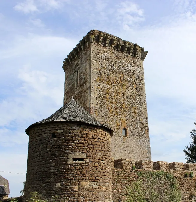 Image du carousel qui illustre: Château De Tholet à Gabriac