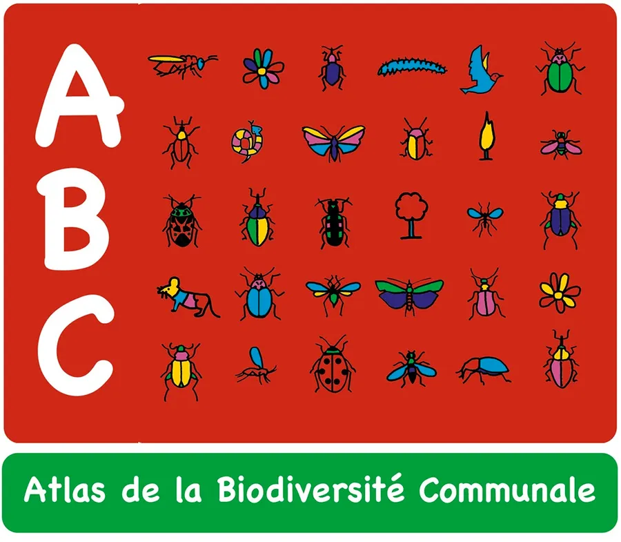 Image du carousel qui illustre: Abc : Découverte Des Martinets Et Des Hirondelles à Vialas