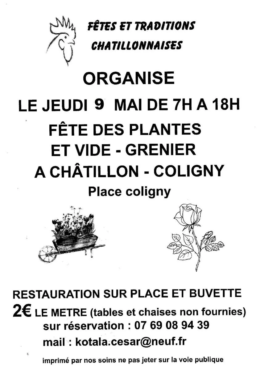 Image du carousel qui illustre: Fête Des Plantes Et Vide-greniers à Châtillon-Coligny