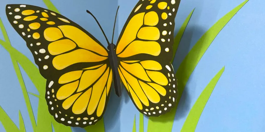 Image du carousel qui illustre: Atelier Pop Papillon à Cazères
