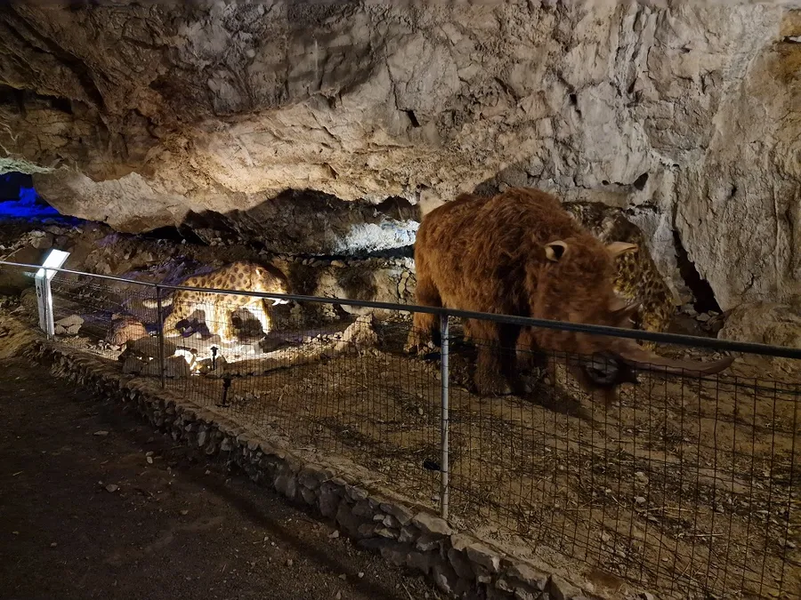 Image du carousel qui illustre: Cova Bastera - Dinopedia Experience à Villefranche-de-Conflent