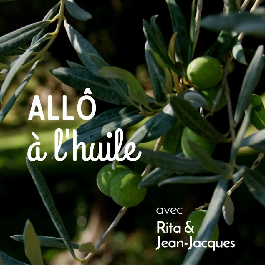 Image du carousel qui illustre: Visitez une oliveraie en culture biologique à Fontvieille