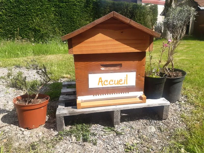 Image du carousel qui illustre: Découverte De L'apiculture Et Dégustation De Miel à Bussang