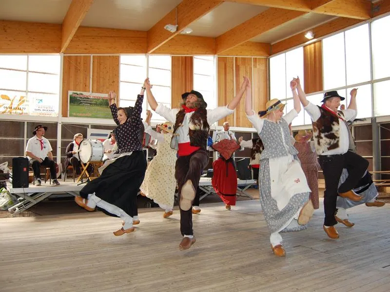 Image du carousel qui illustre: Exposition : Les Troubadours Fetent Leurs 50 Ans à Raon-l'Étape