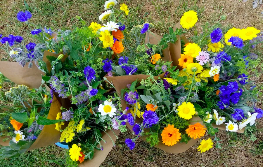 Image du carousel qui illustre: Créez votre bouquet de fleurs comestibles à Ploërmel