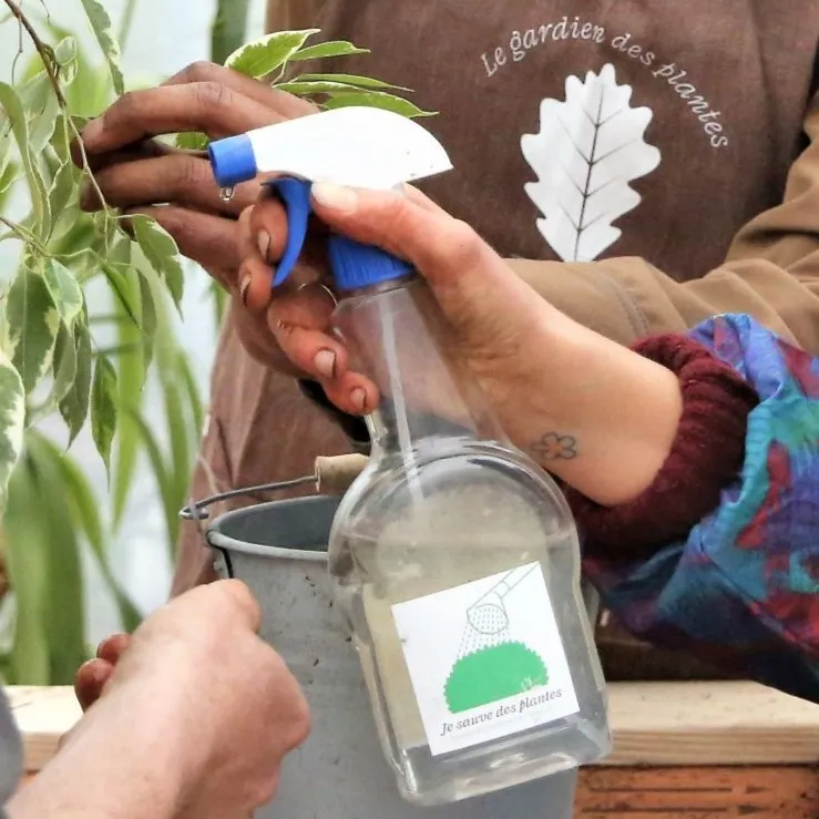 Image du carousel qui illustre: Créez un remède biologique pour soigner votre plante à Lyon