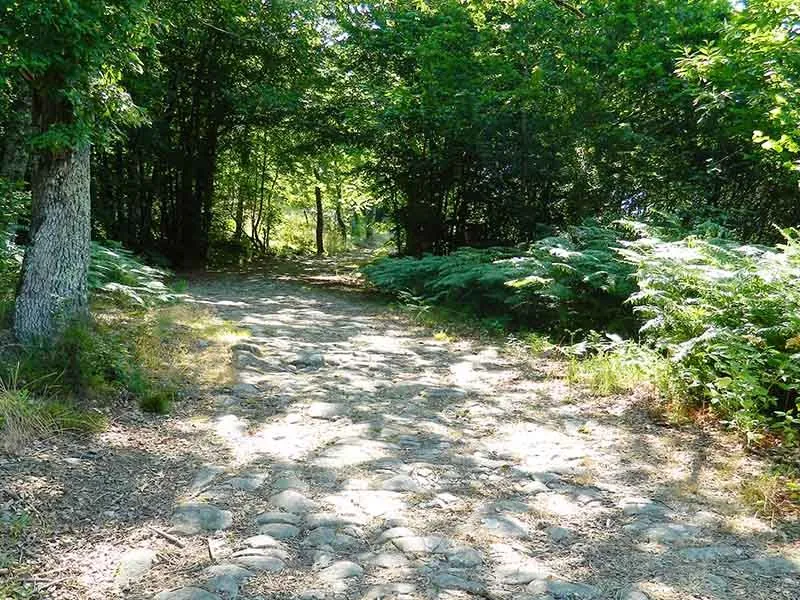 Image du carousel qui illustre: Histoire Et Nature à Saint-Laurent-sur-Gorre