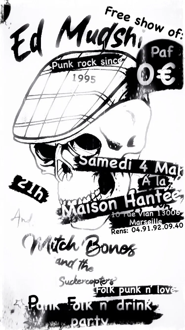 Image du carousel qui illustre: ED MUDSHI / MITCHBONES and the Suckercopters à Marseille