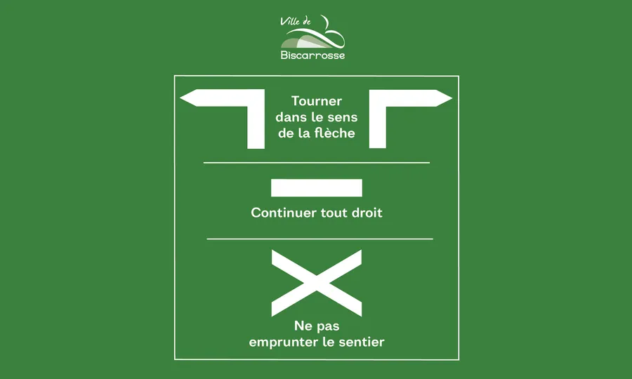 Image du carousel qui illustre: 4-Circuit vtt de Mayotte à Biscarrosse