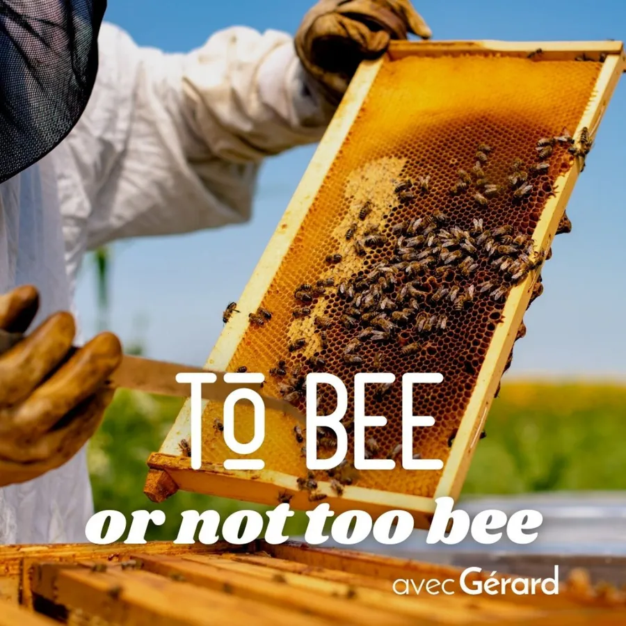 Image du carousel qui illustre: Plongez-vous dans le monde merveilleux des abeilles à Auriol