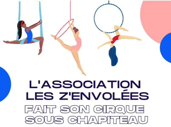 Image du carousel qui illustre: Spectacle Les Z'envolées à Saint-Brevin-les-Pins
