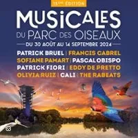 Image du carousel qui illustre: Musicales du Parc des Oiseaux 2024 à Le Plantay