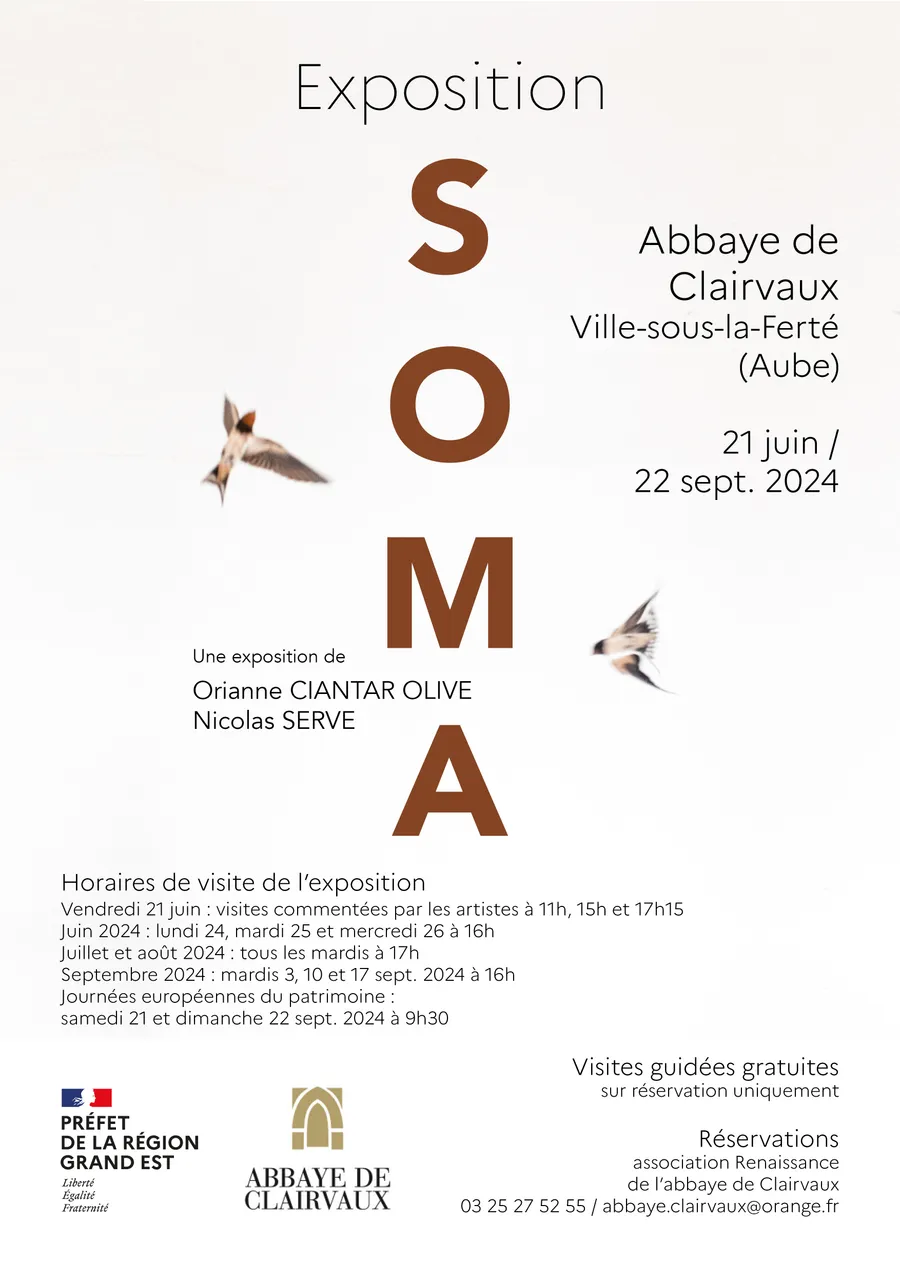 Image du carousel qui illustre: Exposition Soma À L'abbaye De Clairvaux à Ville-sous-la-Ferté