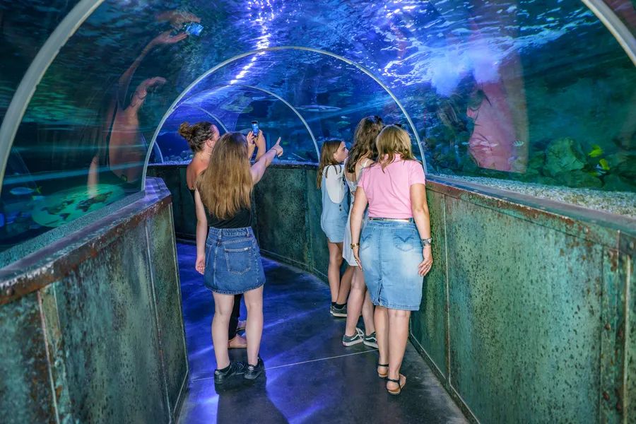 Image du carousel qui illustre: Visite libre à Lussault-sur-Loire