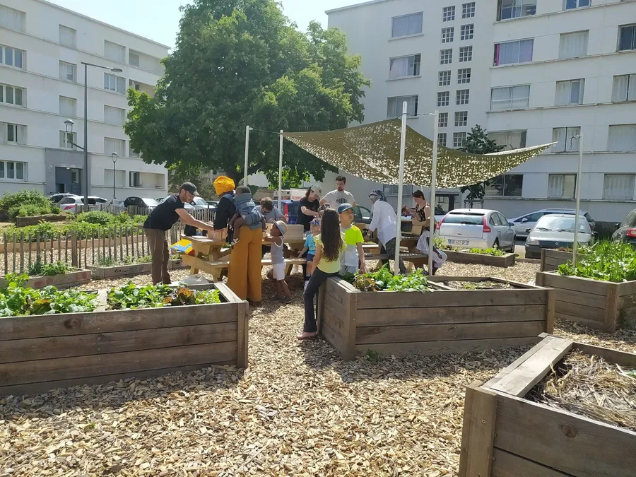 Image du carousel qui illustre: Découvrez l'agriculture urbaine à Lyon