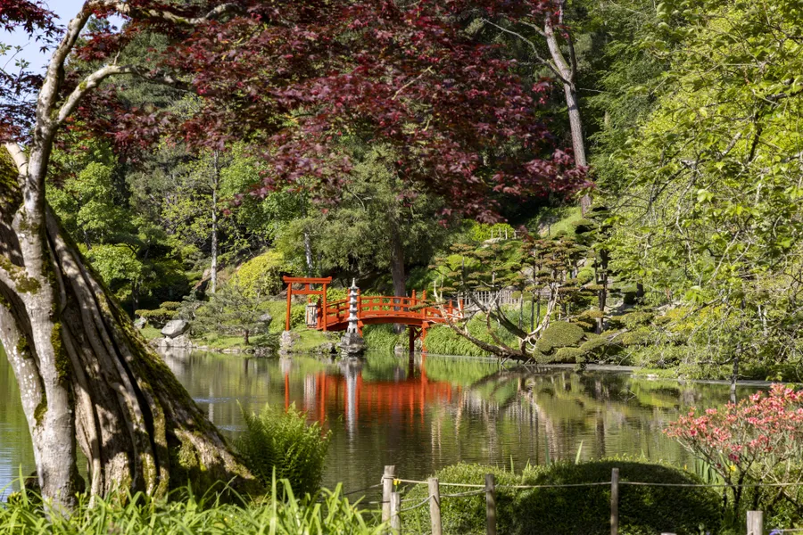 Image du carousel qui illustre: visite guidée du jardin japonais de Maulévrier à Maulévrier