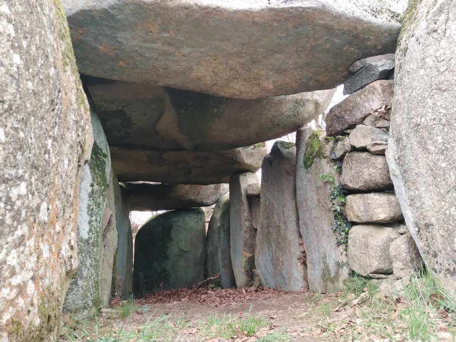 Image du carousel qui illustre: Visite guidée d'un mégalithe néolithique à Passais Villages